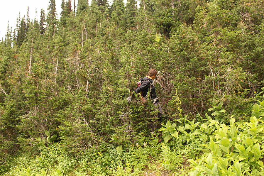 Thankfully, this was short-lived.