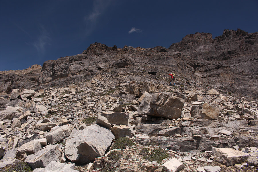 Hey, at least we're not bushwhacking!