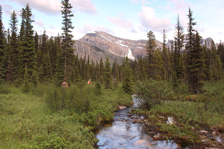 Not as easy as it looks here!