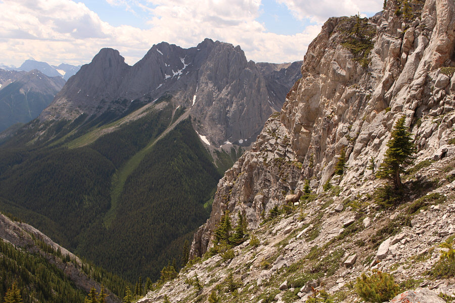 Hey feller! Are you lost?