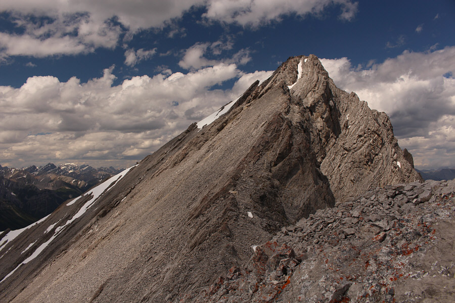 She's hard to see here, but Marta is almost at the top!