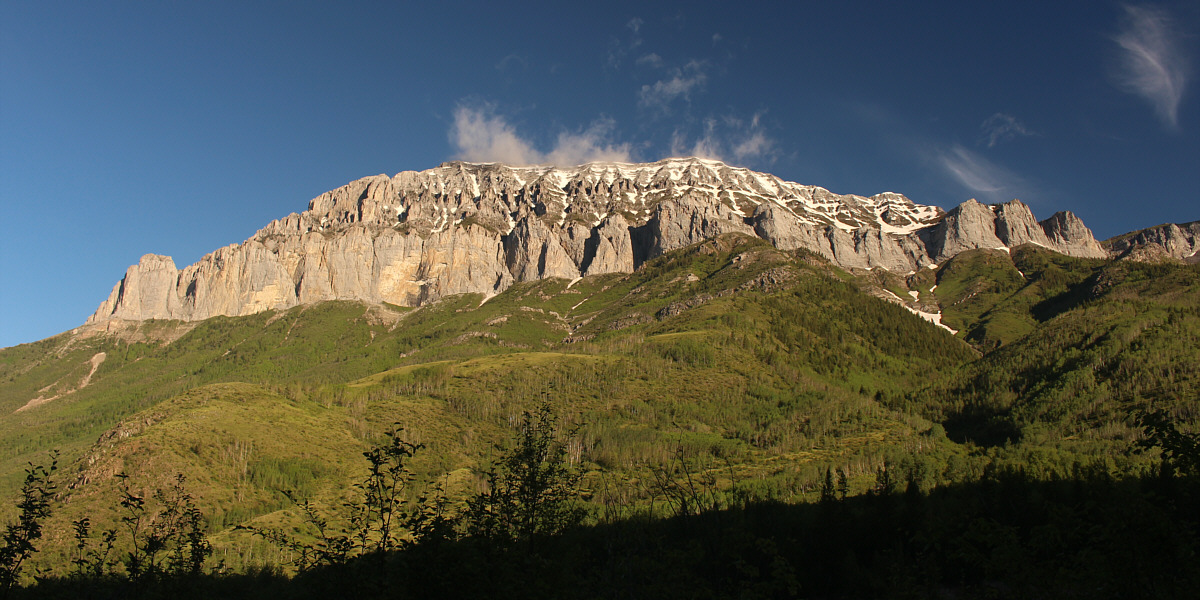 Yikes! How are we ever gonna get up there?!