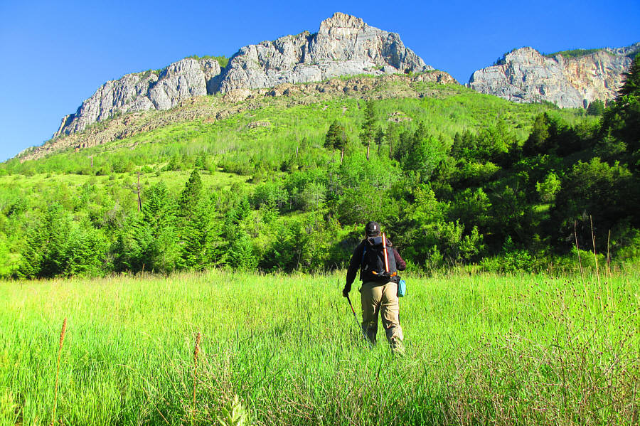 And my feet are already wet because of the dew in the grass!