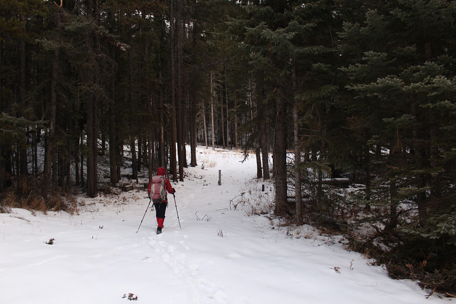 It took us about 25 minutes to walk here from the gate.