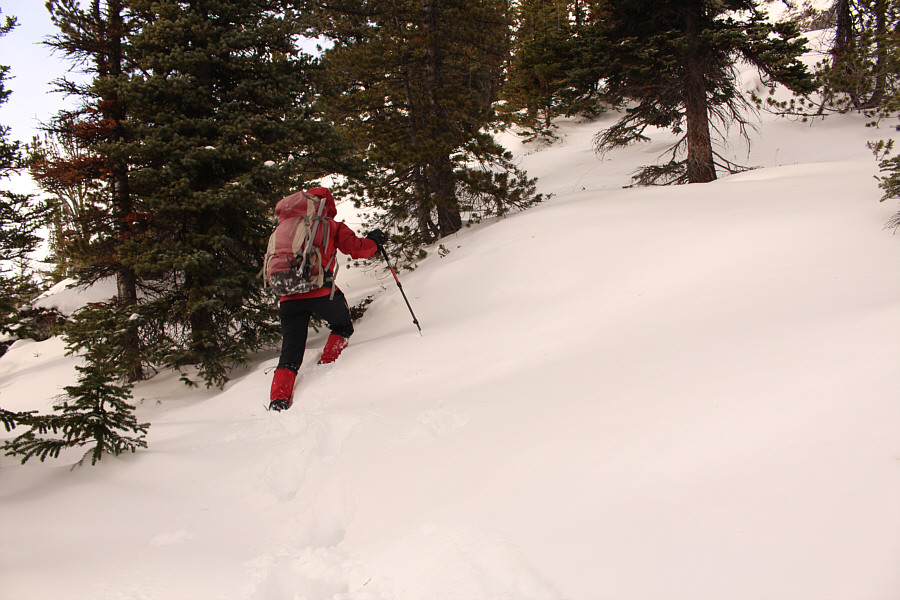 Zosia was my hero breaking trail all the way!