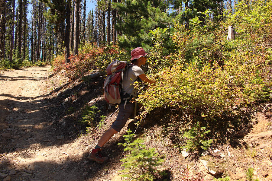 A nice post-summit snack!