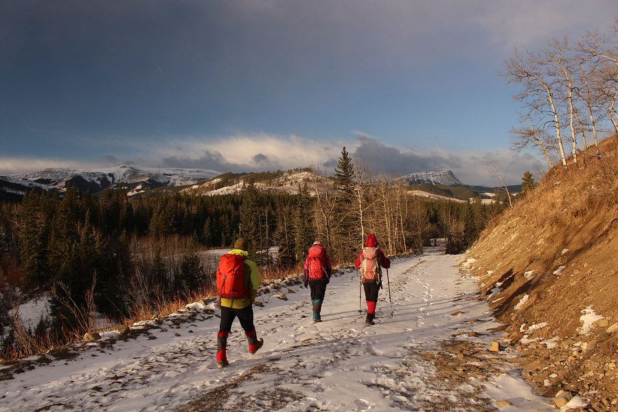 The frozen road was rough on my sore ankle!