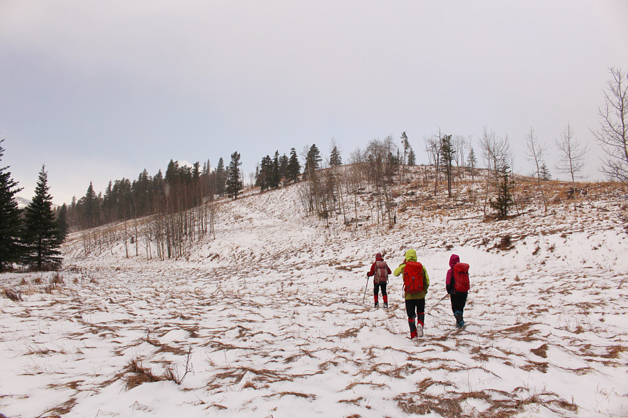 The beaten path is actually the cut line!