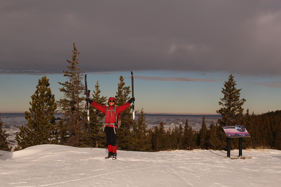 They need to cut down a few trees here!