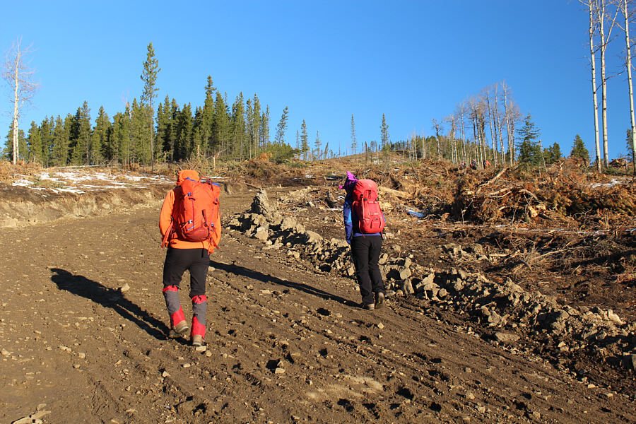 This road will be a muddy quagmire later on.