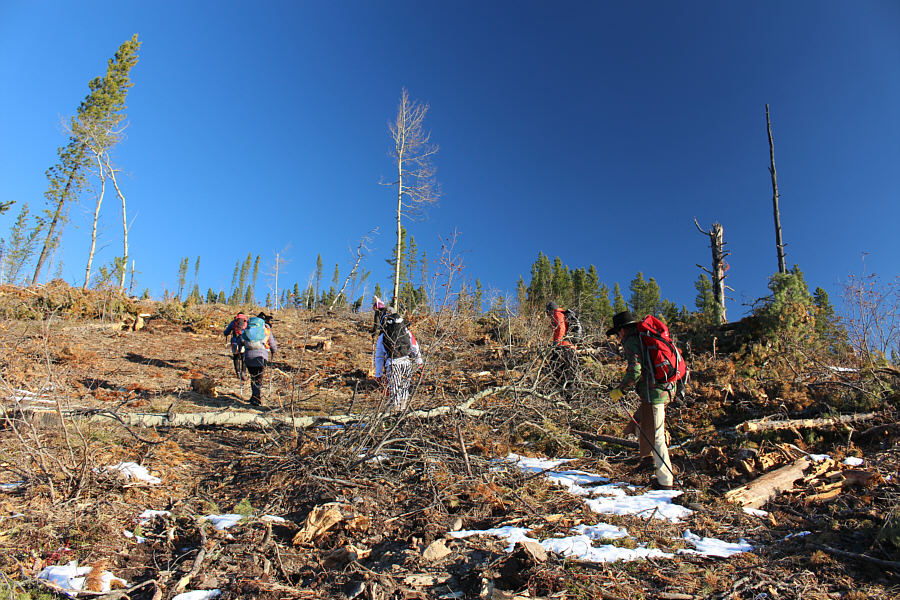 Might be a better experience when everything is snow-covered.