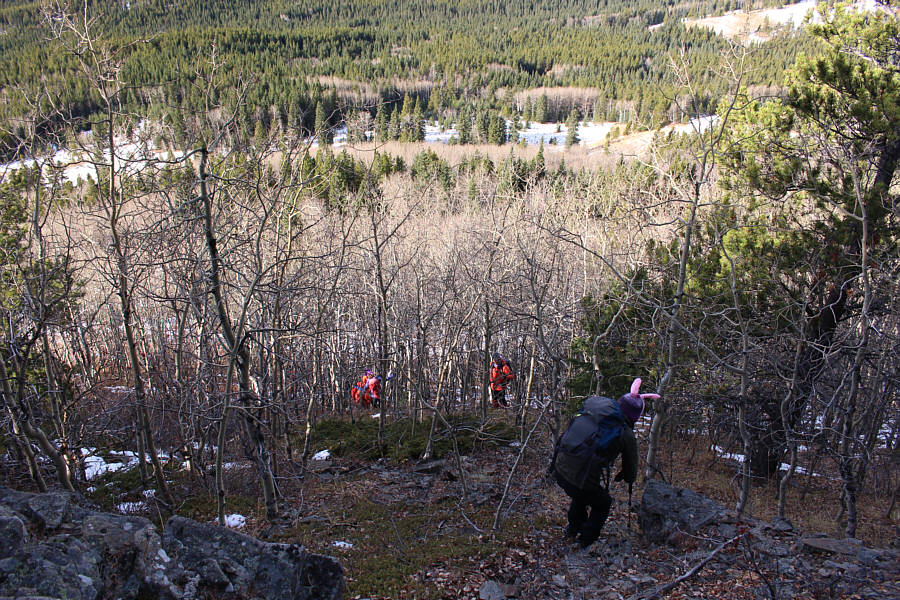 It's easy to get your Halloween costumes snagged on the branches here!