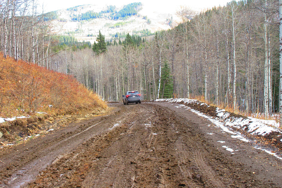 Dangerously slick mud!