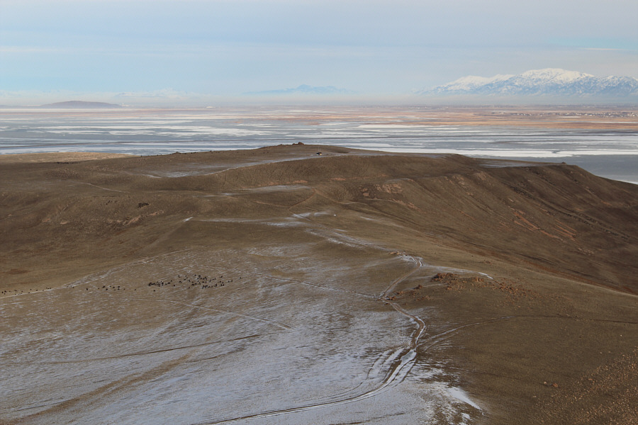 Oh give me a home, where the buffalo roam...