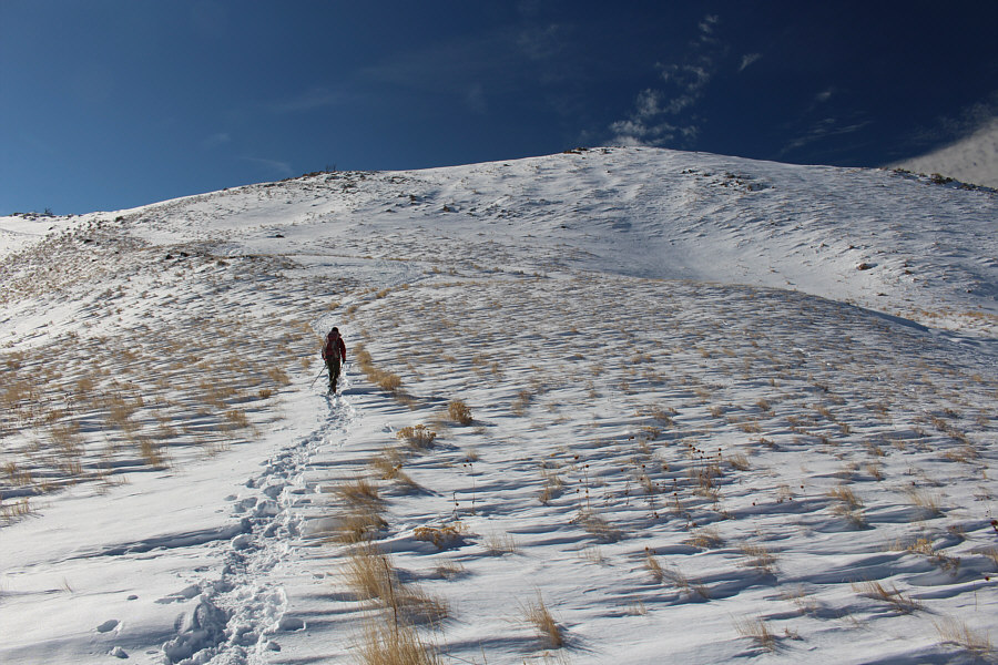 Don't worry Stringham...we'll be back for you later!