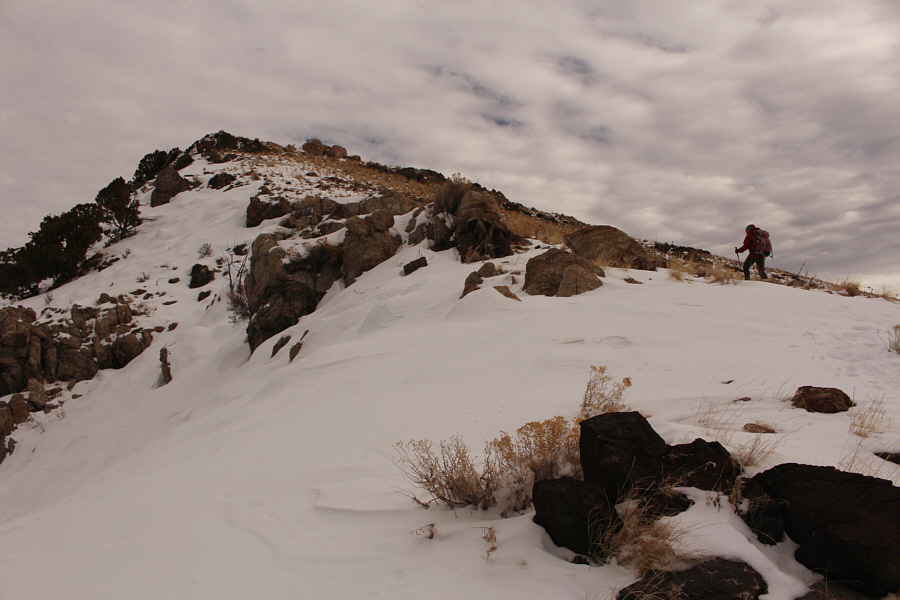 I think we're gonna make it!