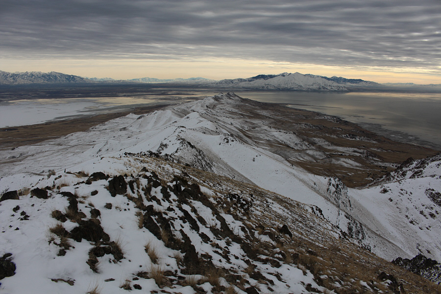 Might be worth exploring in the future...