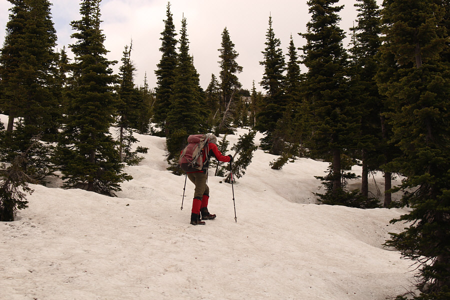 This could have turned out a lot worse!