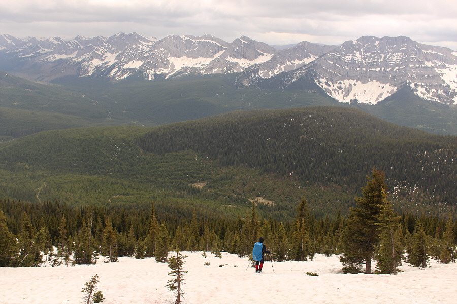 Almost as fun as skiing...almost...