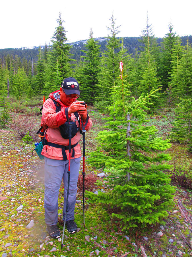 Just one more round of Tetris...