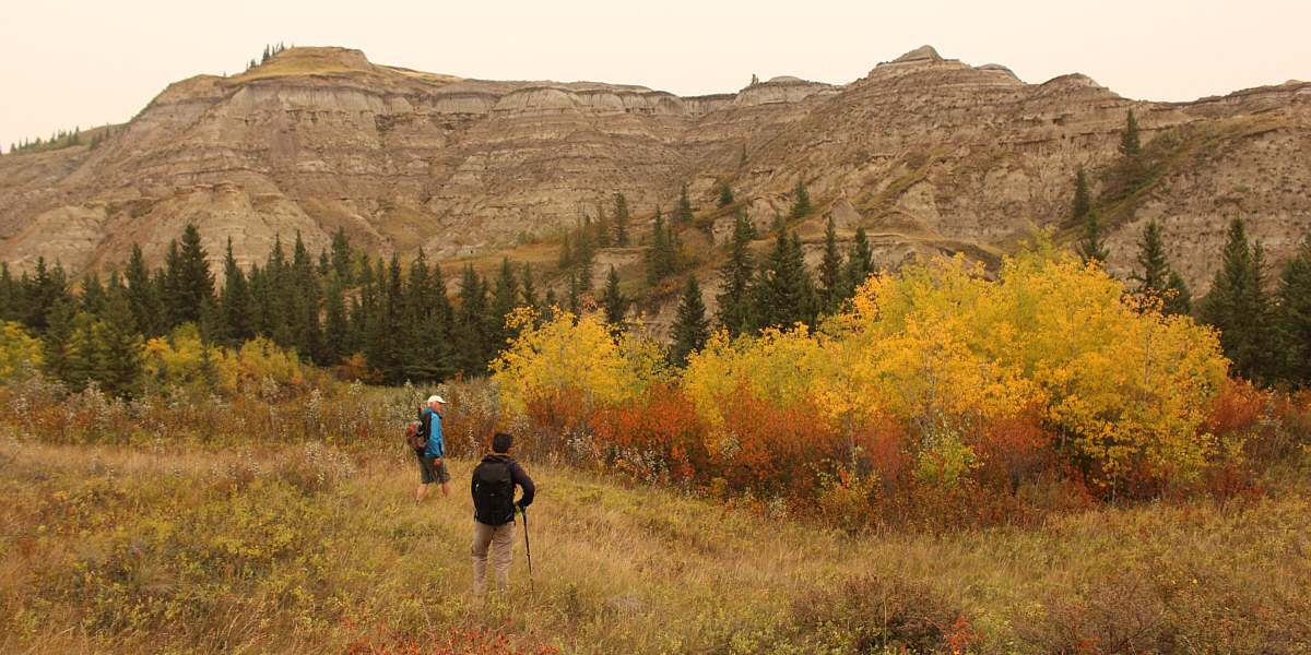There's a bit of unpleasant bushwhacking to get to the base of the mesa from here.