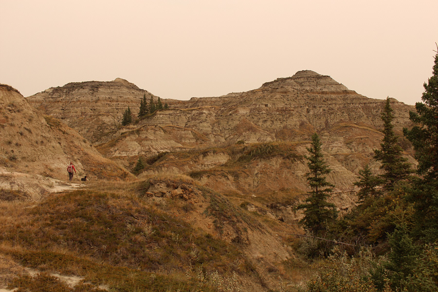 Great job route-finding!