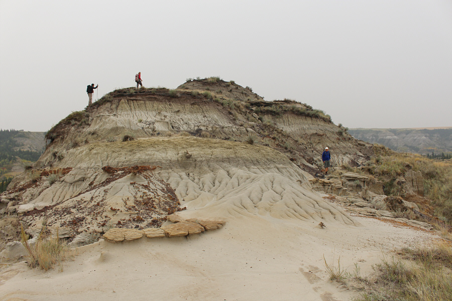 I think I found a fossilized bone here.