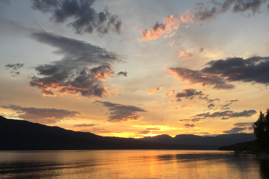 And they lived happily ever after! The end!