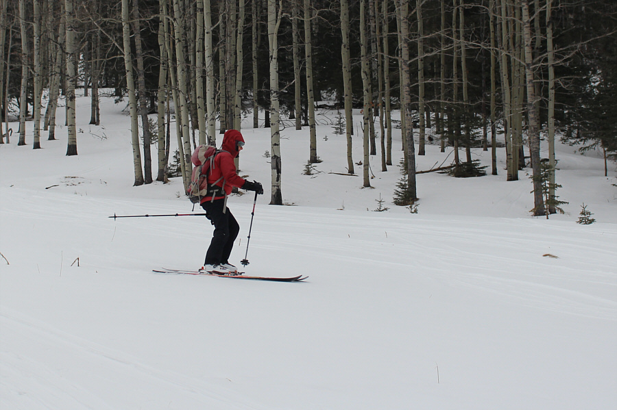 Ready for Delirium Dive?