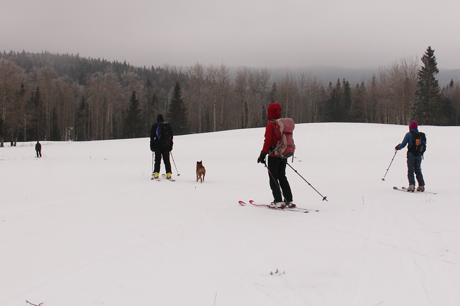 The end of a surprisingly nice day of skiing!