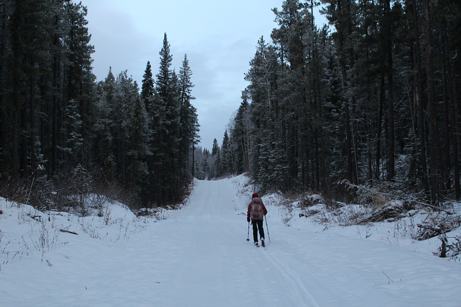 Luckily there was enough fresh snow to ski on!