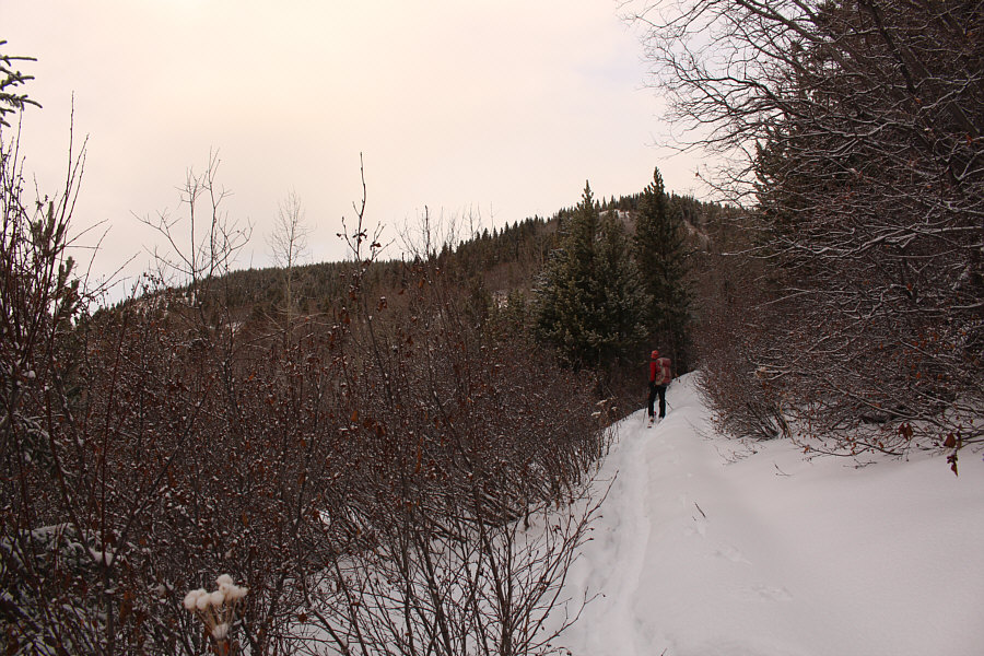 Still a long way to go...