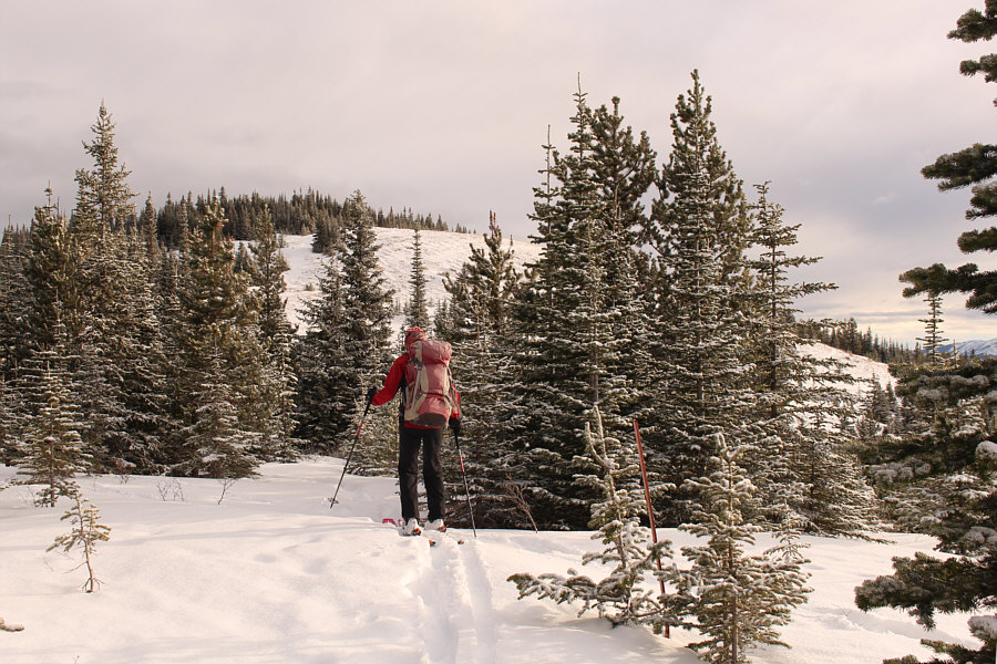 Almost there...finally!