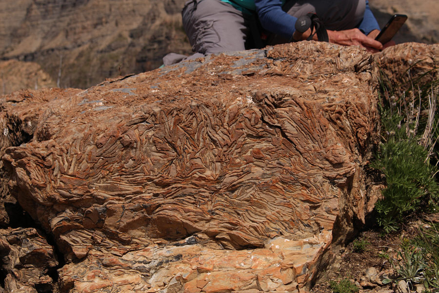 Any geologists out there that can explain this?