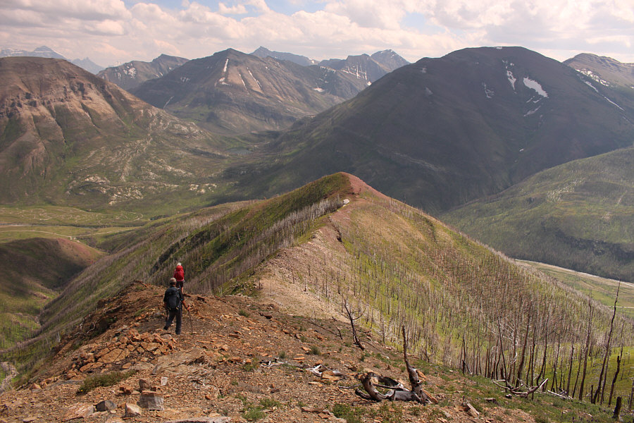 Put your mind on cruise control...for now!