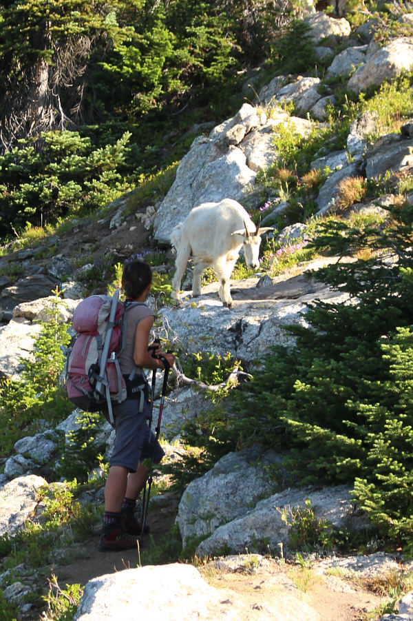 They're kinda creepy when they start following you!