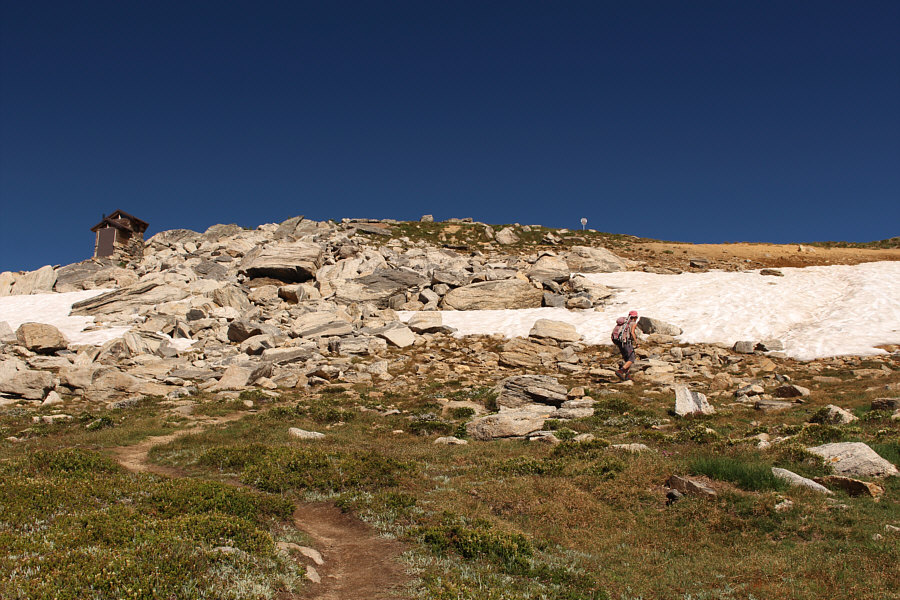 The goats like to sniff around the outhouse!