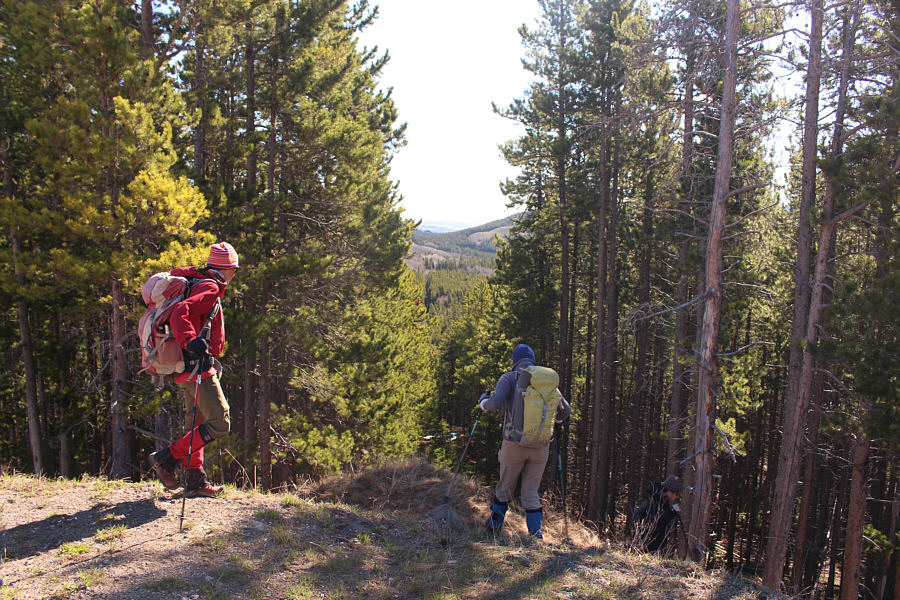 Following the cut line is not as straightforward as it looks from here!