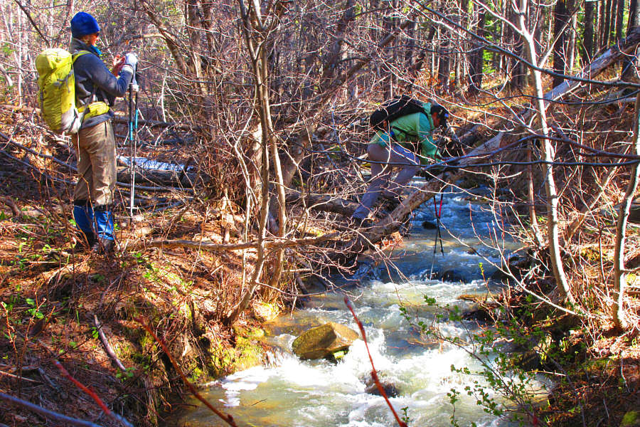 I eventually gave up on the tree and found another spot to simply jump across!