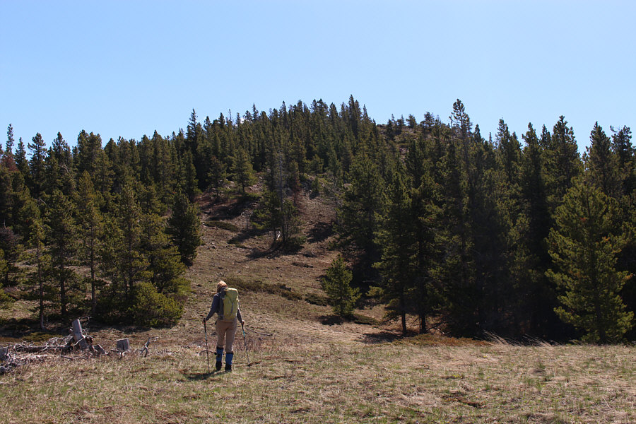 Much better than the wet and bushy forest we just walked through!