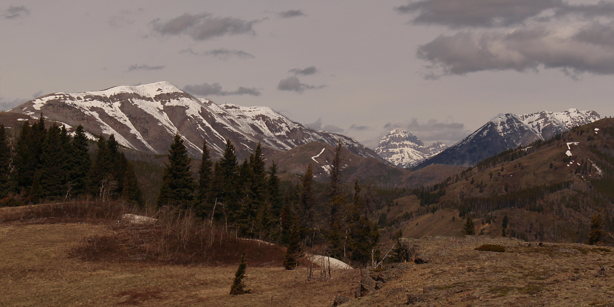 I should really re-climb Crowsnest Mountain with Zosia one of these days...