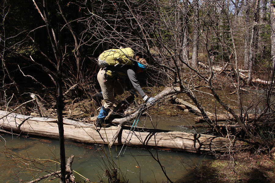 Who has an axe handy?