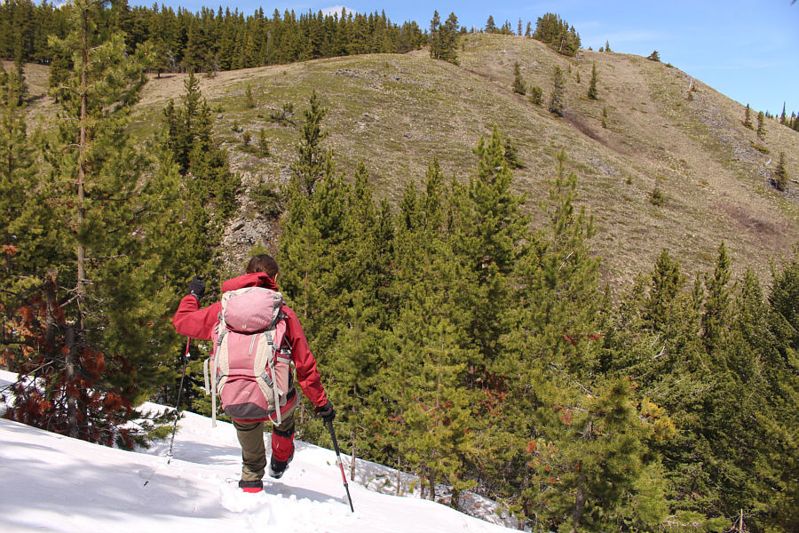 Our last real obstacle of the day.