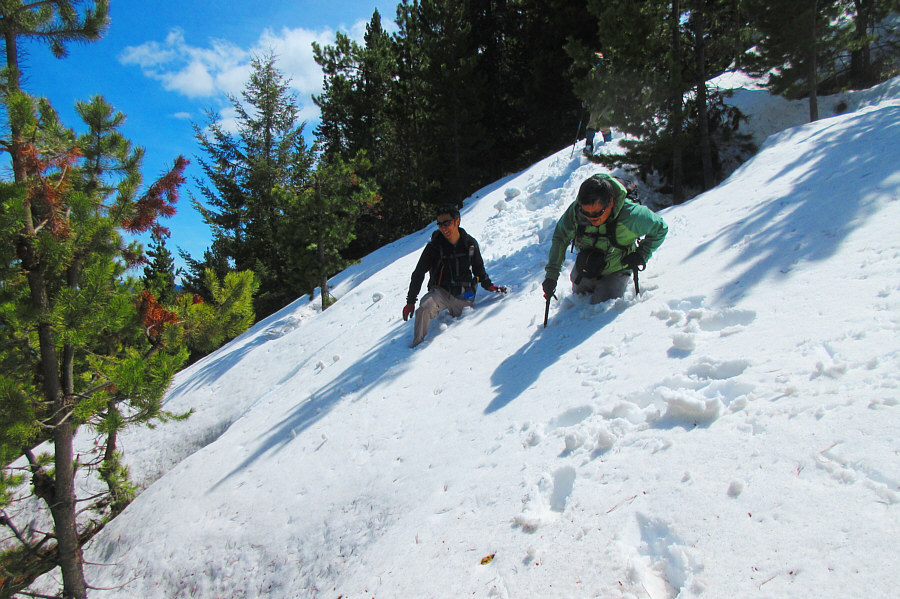 I'd rather be skiing!