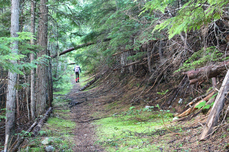 Look for flagging tape at the start!