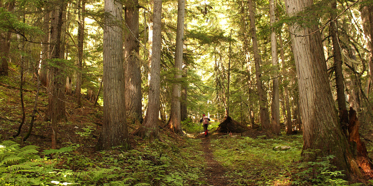 Very pleasant hiking.