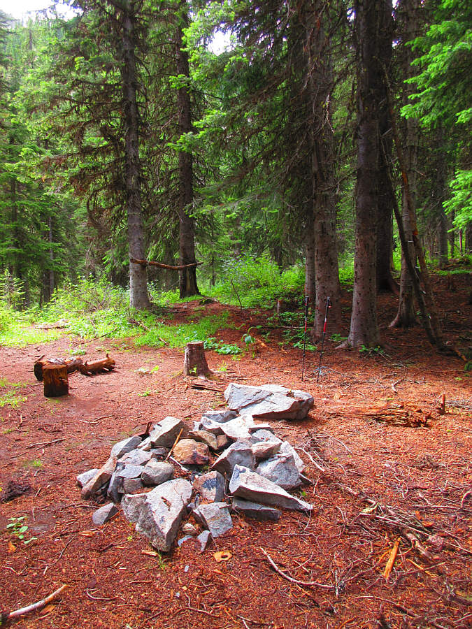 No dead bodies yet, so it's all good, man!