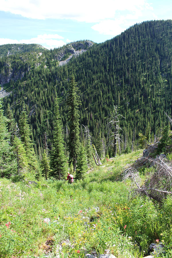 A bit bushy lower down but well-worth it to save some time and distance.