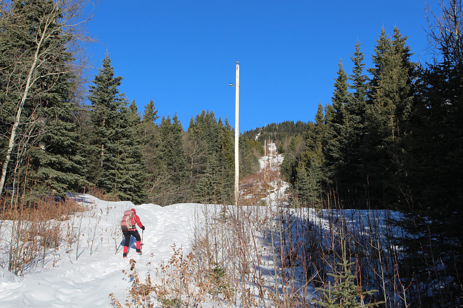 This starts to get a bit monotonous quickly...