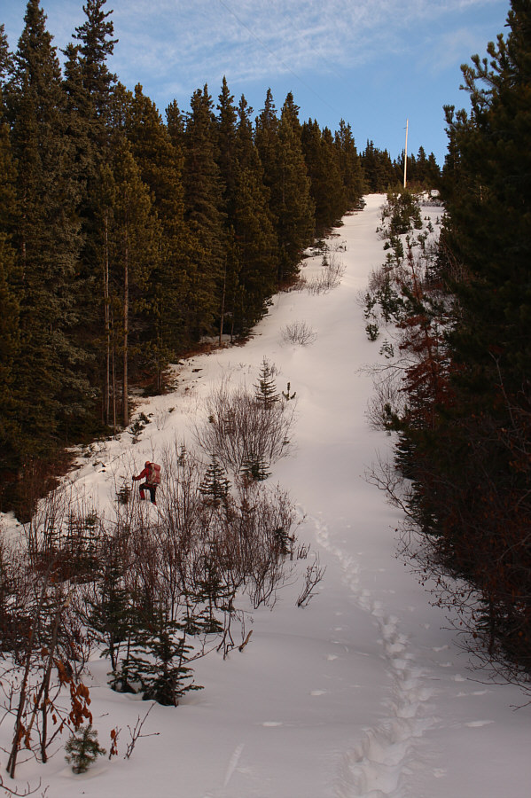 Where did all this snow come from??